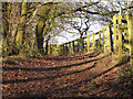 Embankment footpath