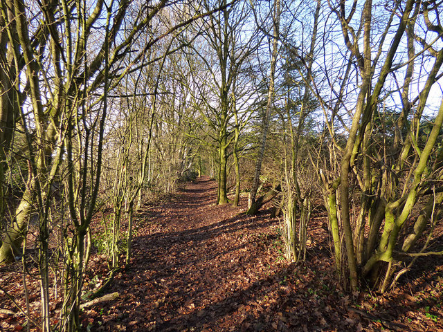 Embankment footpath © Stephen Craven :: Geograph Britain and Ireland