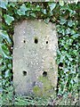 Old Milestone by the former A36, Standerwick