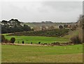 Maze at Kilve Court