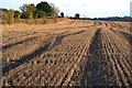 Late sunshine on stubble field