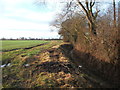 Crop field and drain off Low Moor Lane