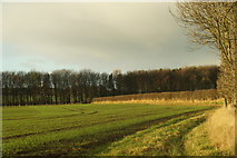 NT4877 : Fields at Garleton, near Ballencrieff by Mike Pennington