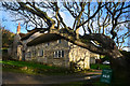 East Devon : Great Seaside Farm