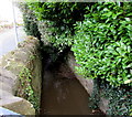 Unnamed stream below Fosterville Crescent, Abergavenny