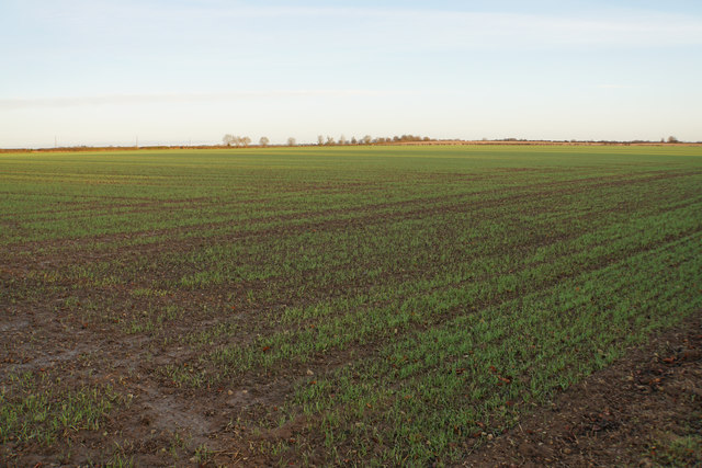 Farmland near Haddenham