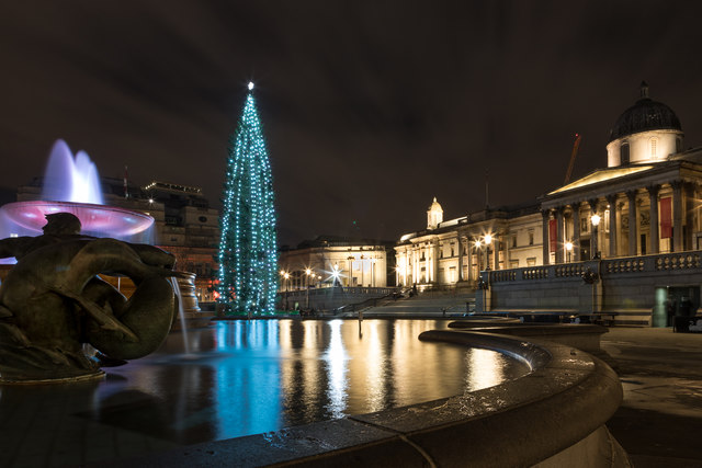 Trafalgar Square Christmas Tree 2017