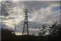 Pylon