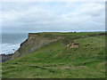 Landslips and unstable ground above Westpark beach