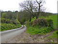 Ham Lane descends towards Croscombe