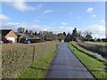 Neat hedge by Jumpers Lane