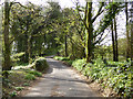 Lane heading west, Chelynch