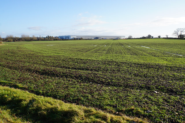 Field near Curborough Grange