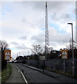 Telecoms mast, Ffordd Croesawdy, Newtown