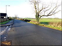 H4373 : Gillygooly Road, Mullaghmenagh Upper by Kenneth  Allen