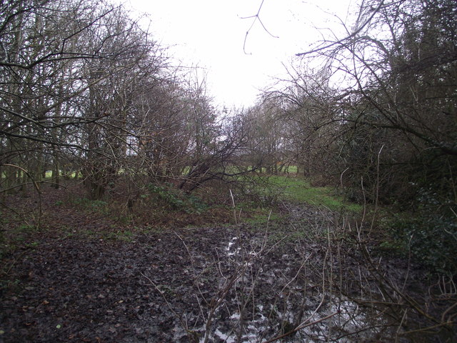 Footpath from Meadow Lane to Hall Lane