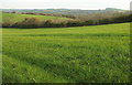 Farmland east of Chilcombe