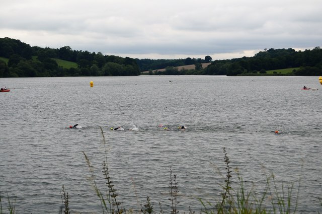 Openwater swimmers, Ardingly Reservoir