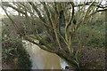 TQ1863 : Small stream at Chessington by Mike Pennington