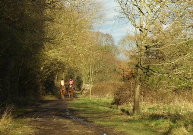 Horse riders in Horton Country Park