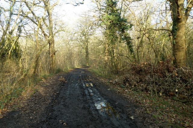 Track in Horton Country Park