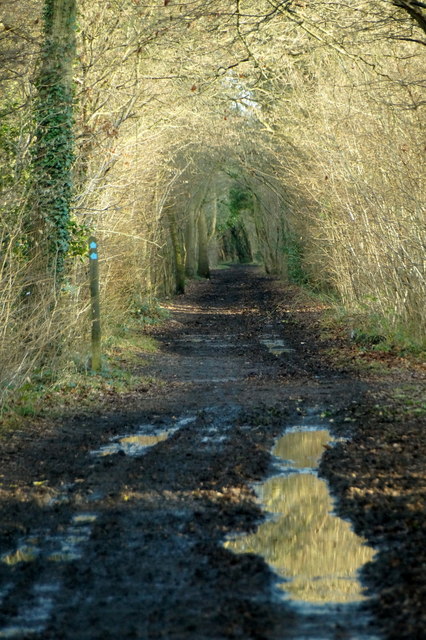 Track in Horton Country Park