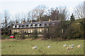 Cottages at Linton