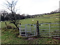 Llwybr Glan y Gyrre  / Gurrey Manor Path