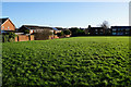 Green space between the houses