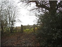 TL0210 : Field entrance on Pipers Hill, Nettleden by David Howard