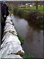 ST3959 : Ducks Racing on River Banwell by PAUL FARMER