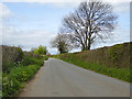 Road north from Fifehead Magdalen