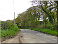 Road towards Fifehead Common