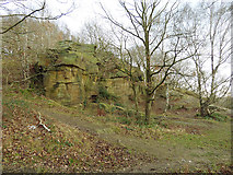 SE2333 : Old stone quarry in Post Hill woods (1) by Stephen Craven