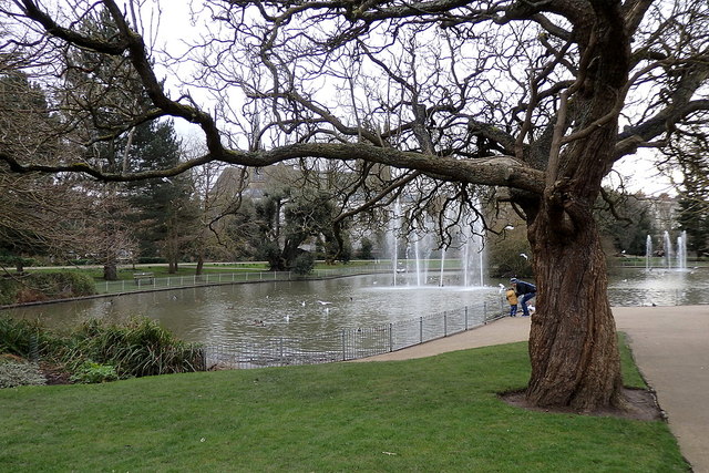 Pond in Jephson Gardens, Leamington