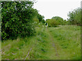 Disused railway south-east of Milton, Stoke-on-Trent