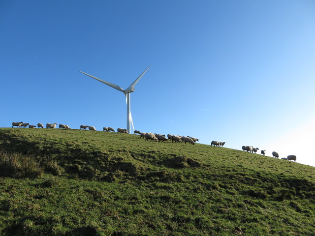 Sheep and wind turbine on Mynydd Portref