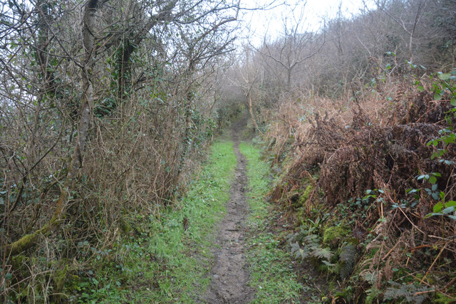 North Devon : Pathdown Lane