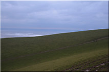 SS4538 : North Devon : Grassy Field by Lewis Clarke
