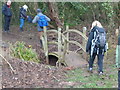 Walkers crossing neat footbridge