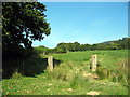 Llwybr Cil-pentan / Cil-pentan Path