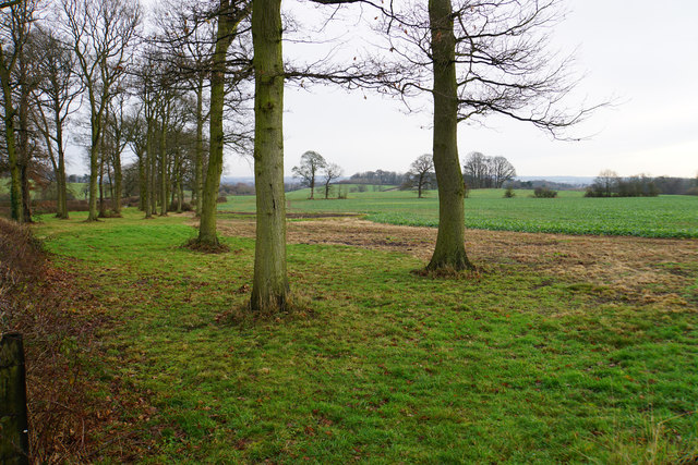 Farmland in the Canwell Estate
