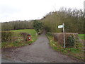 SO7354 : Lane to Warrens Farm, Lulsley by Jeff Gogarty