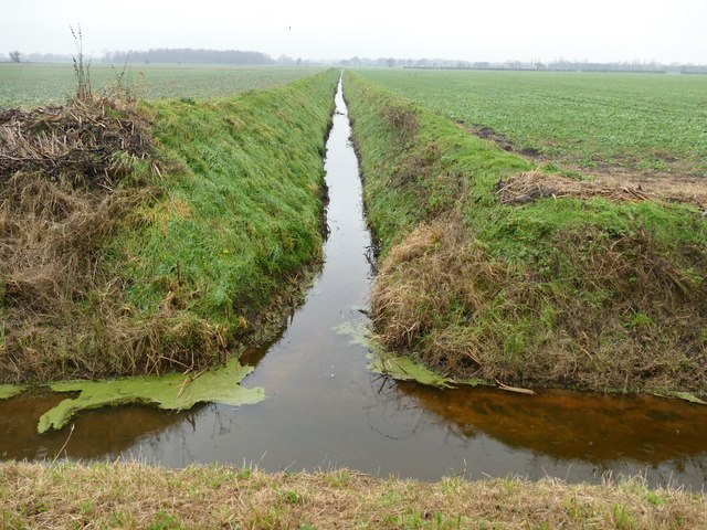 A drain t-junction