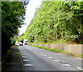 Crocodile teeth markings on the A472 near Hafodyrynys