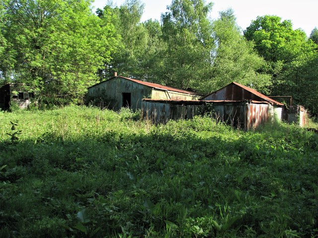 Abandoned forestry buildings in Brede High Woods