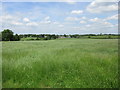 View towards Halse