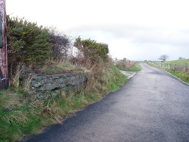 Along the lane above Bryn-dû farm