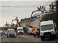 Half a dozen men up 4 poles in Bickington doing something to overhead power cables