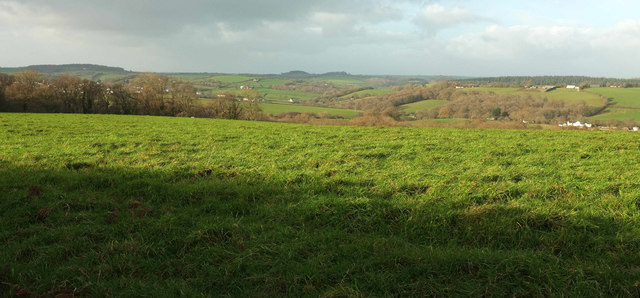 View from near South Lendon